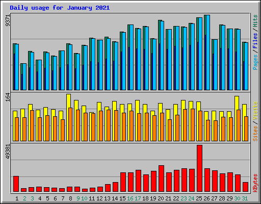 Daily usage for January 2021