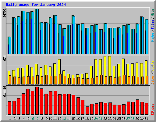Daily usage for January 2024