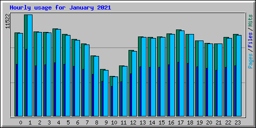 Hourly usage for January 2021