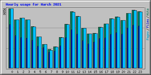 Hourly usage for March 2021