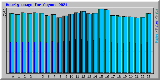 Hourly usage for August 2021