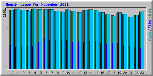 Hourly usage for November 2021