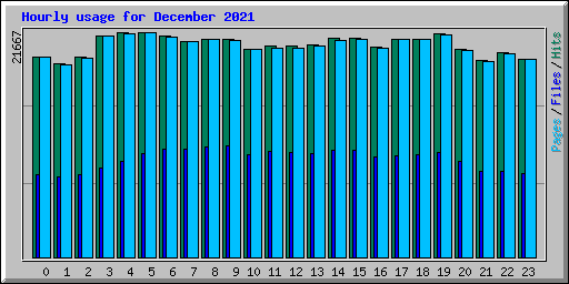 Hourly usage for December 2021