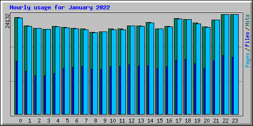 Hourly usage for January 2022