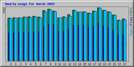 Hourly usage for March 2022