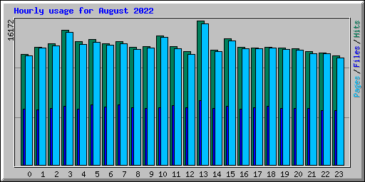 Hourly usage for August 2022