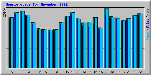 Hourly usage for November 2022