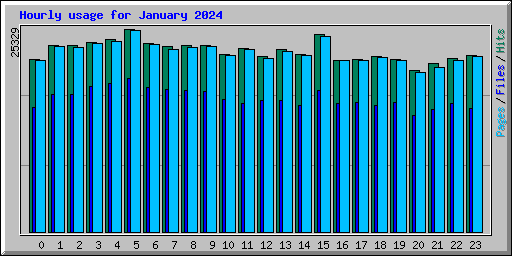 Hourly usage for January 2024