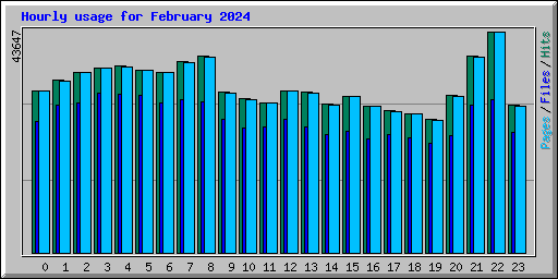 Hourly usage for February 2024