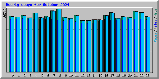 Hourly usage for October 2024