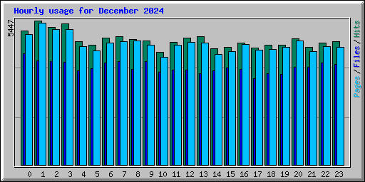 Hourly usage for December 2024