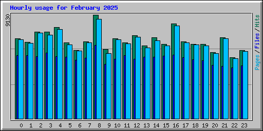 Hourly usage for February 2025