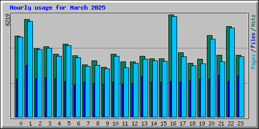 Hourly usage for March 2025