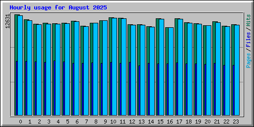 Hourly usage for August 2025