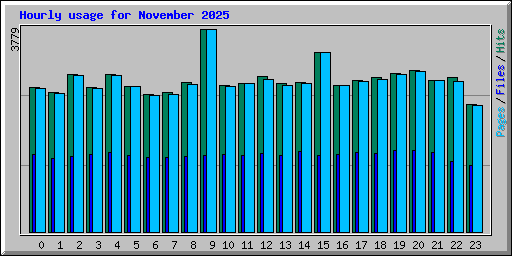 Hourly usage for November 2025