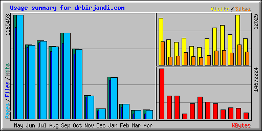 Usage summary for drbirjandi.com